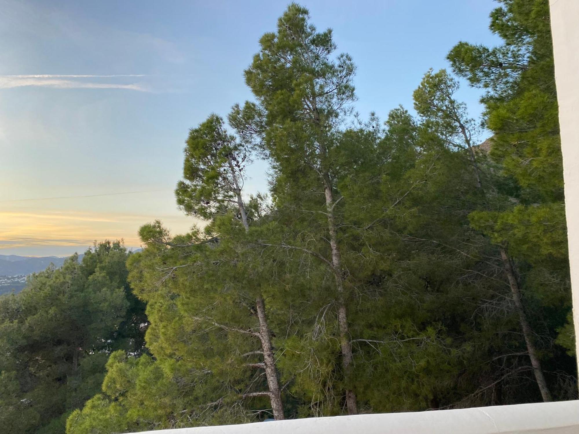 Precioso Apartamento Mandarinos Con Vistas Al Mar Nerja Exteriör bild